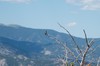 2019-08-12 to 2019-08-17 Colorado 071